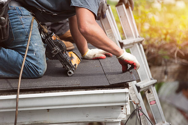 Best Roof Gutter Cleaning  in Versailles, OH